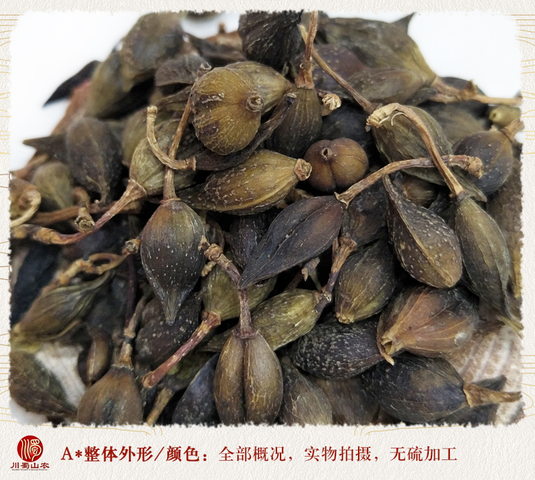 cstcssnlianqiaoshuizhuhuotong08.jpg