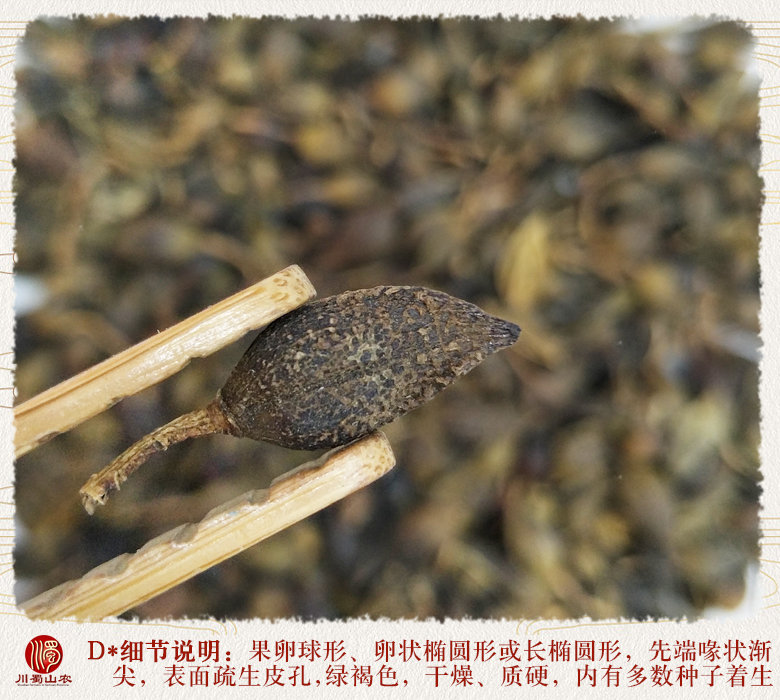 cstcssnlianqiaoshuizhuhuotong011.jpg
