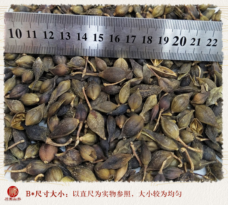 cstcssnlianqiaoshuizhuhuotong09.jpg