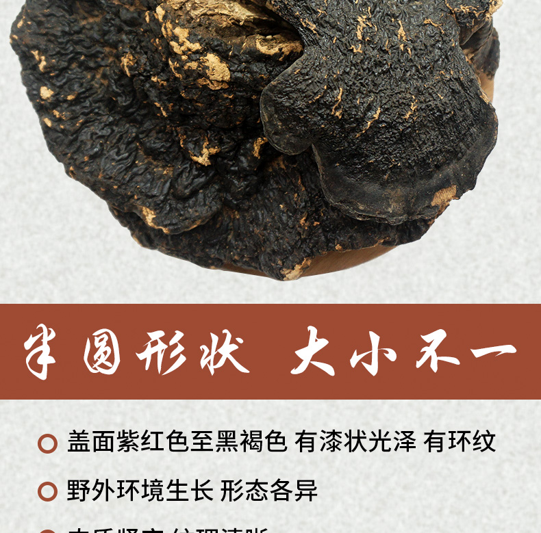 薄树芝详情_05.jpg