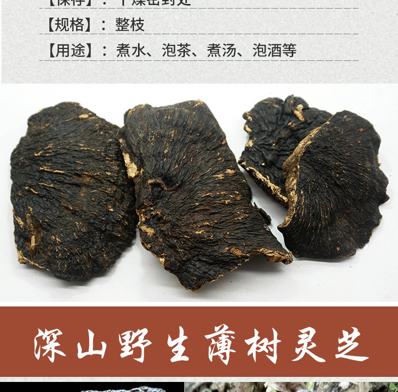 薄树芝详情_03.jpg