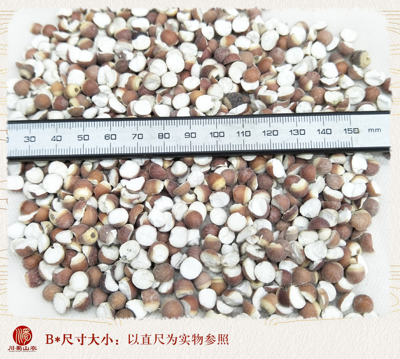 cstcssnqianshidali09.jpg