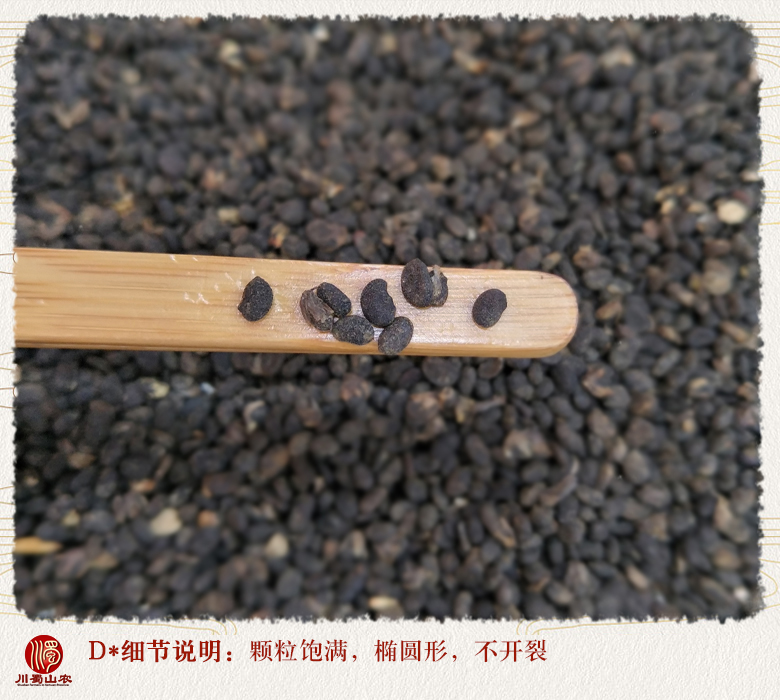 cstcssnbuguzhi011a.jpg