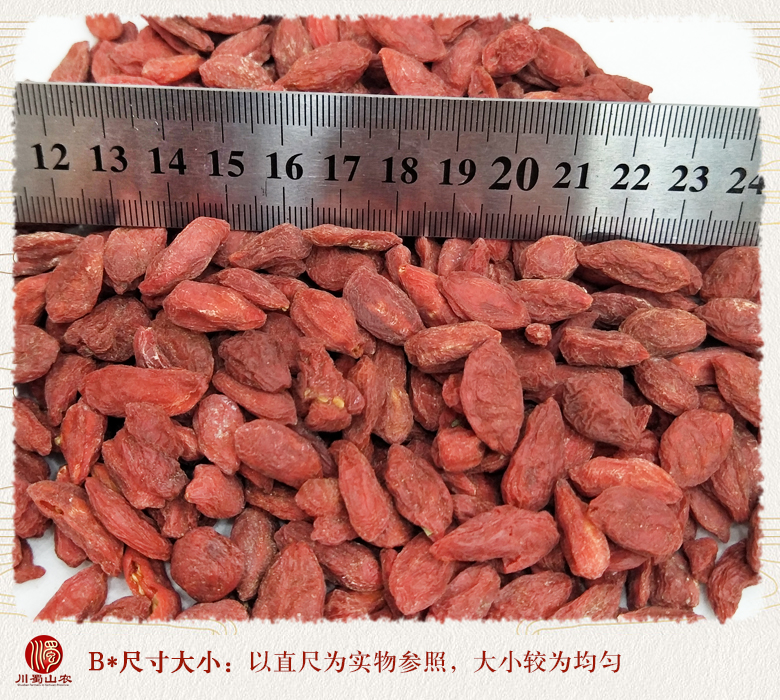 cstcssnqinghaigouqi220li09.jpg