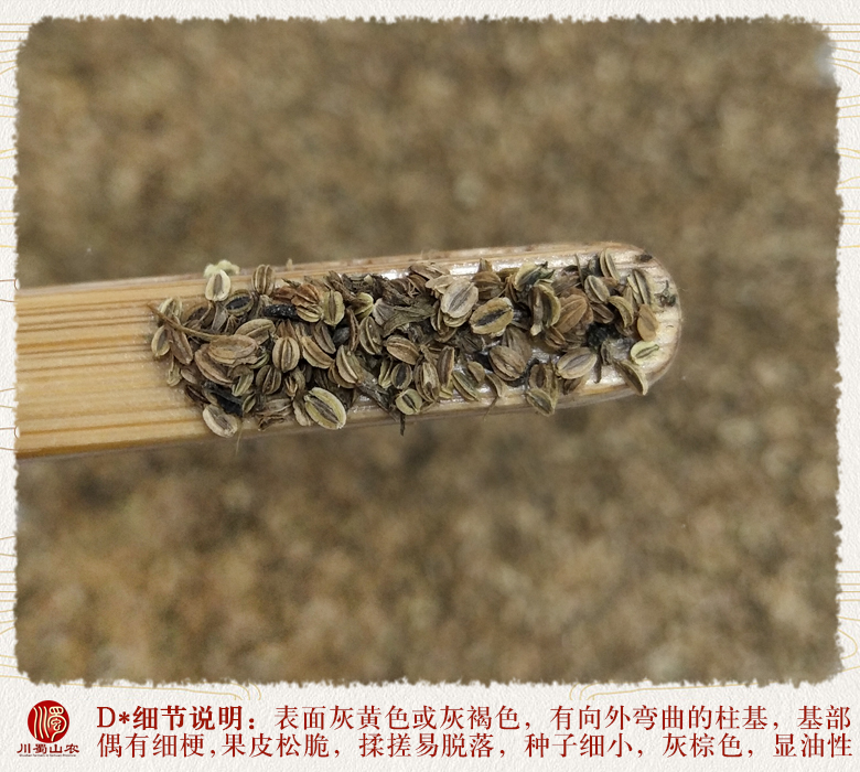 cstcssnshechuangzi011.jpg