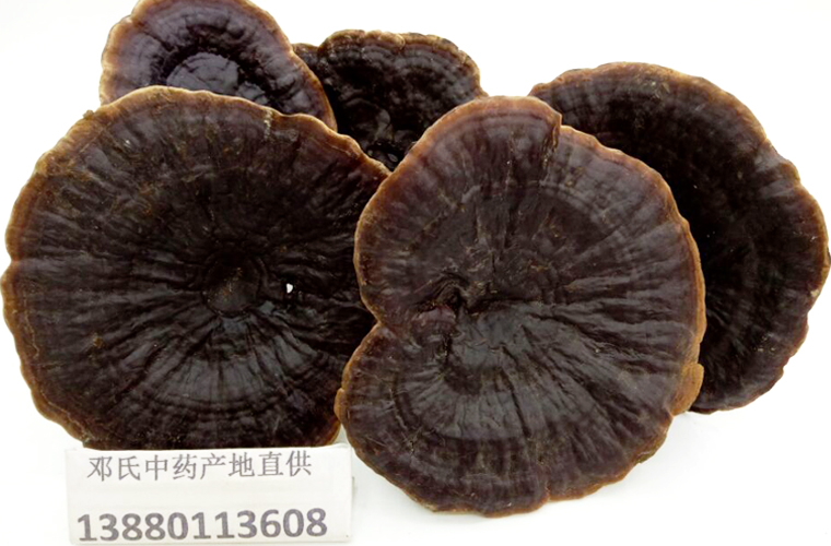 heilingzhijunxinggaial011.jpg