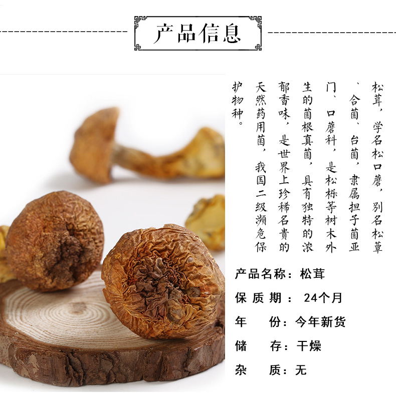 松茸_02.jpg