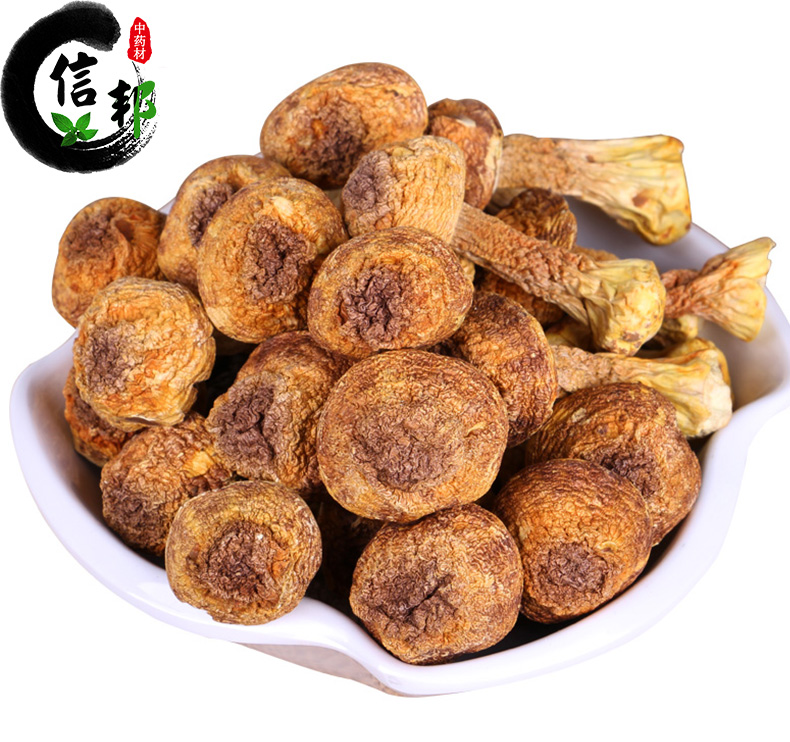 松茸_06.jpg