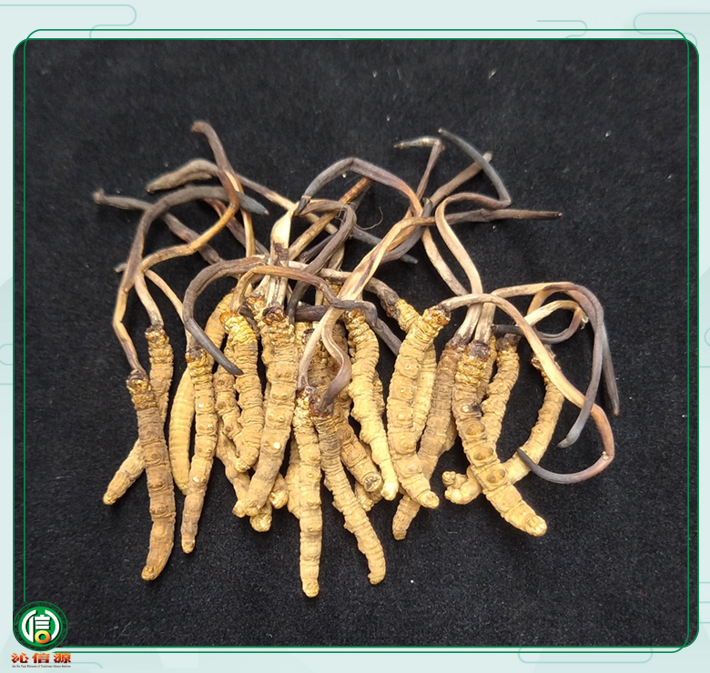 ganchongcao6500tiao06.jpg