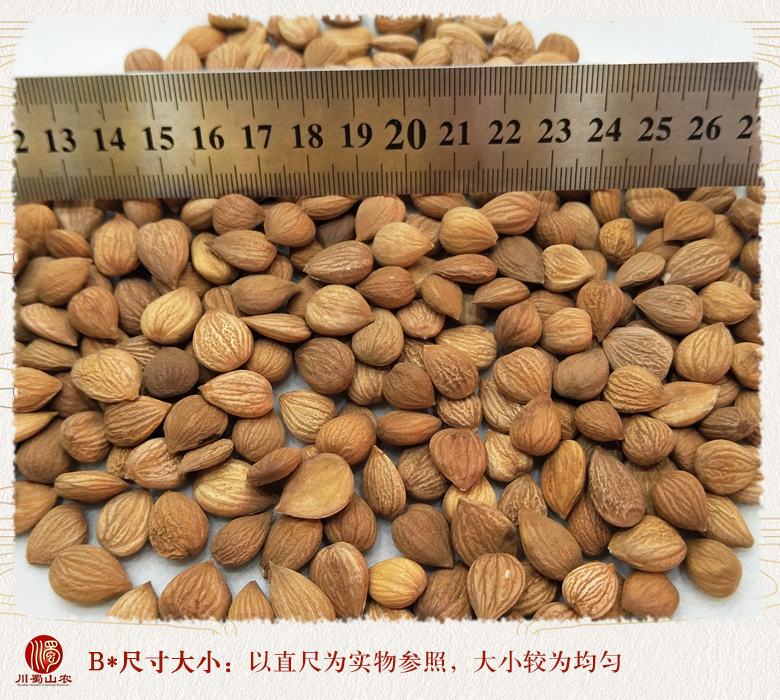 cstcssnkuxingrenxuan09.jpg