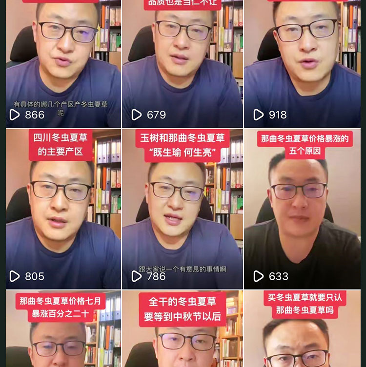 虫草真伪辨别修改24 (2).jpg