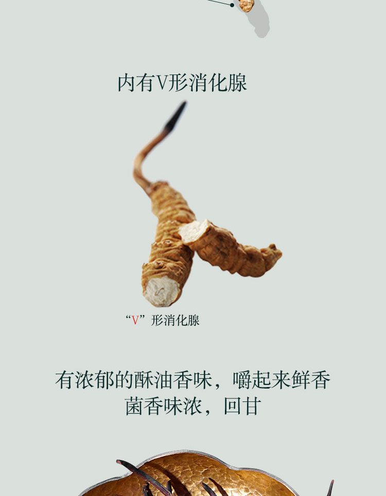 E899ABE88D89E79C9FE4BCAAE8BEA8E588ABE4BFAEE694B95F303120283136292E6A7067.jpg
