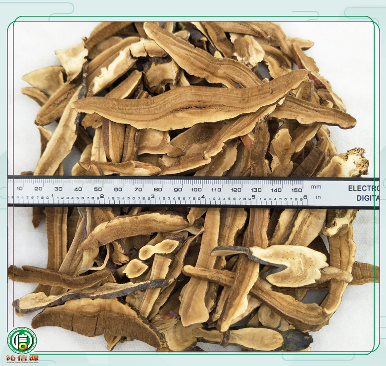 lingzhixiaopian08.jpg