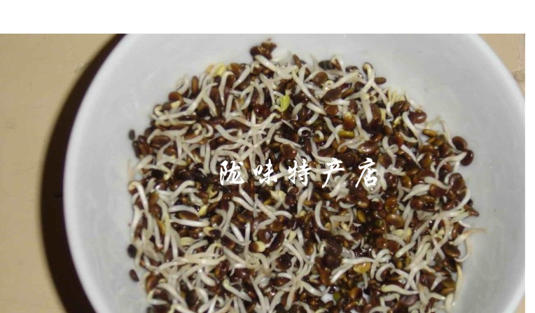 黄芪种子7.jpg