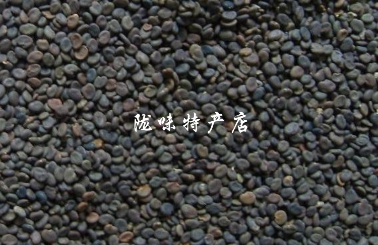 黄芪种子4.jpg