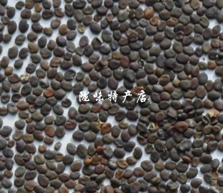 黄芪种子3.jpg