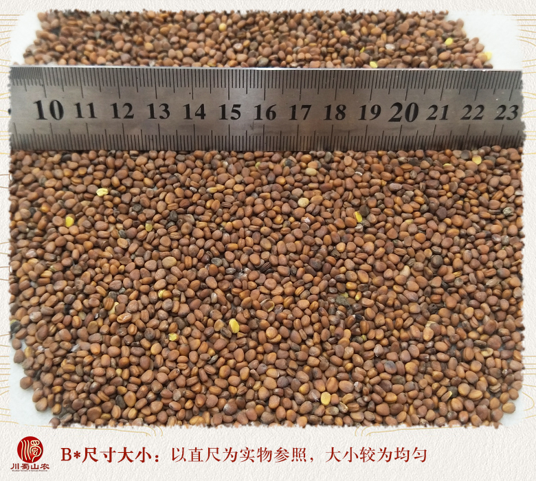 cstcssnlaifuzixuanhuo09.jpg