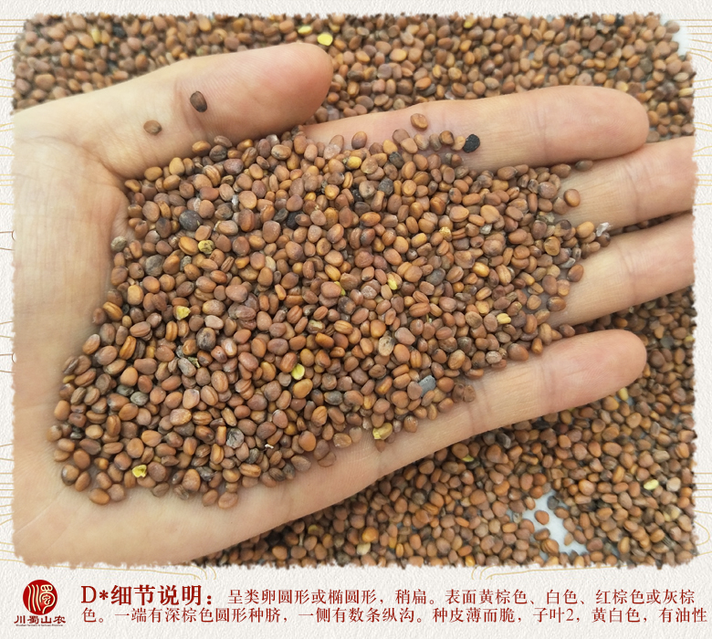 cstcssnlaifuzixuanhuo011.jpg