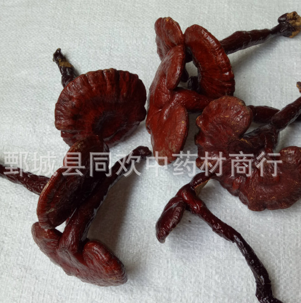 QQ截图20191203234750.png