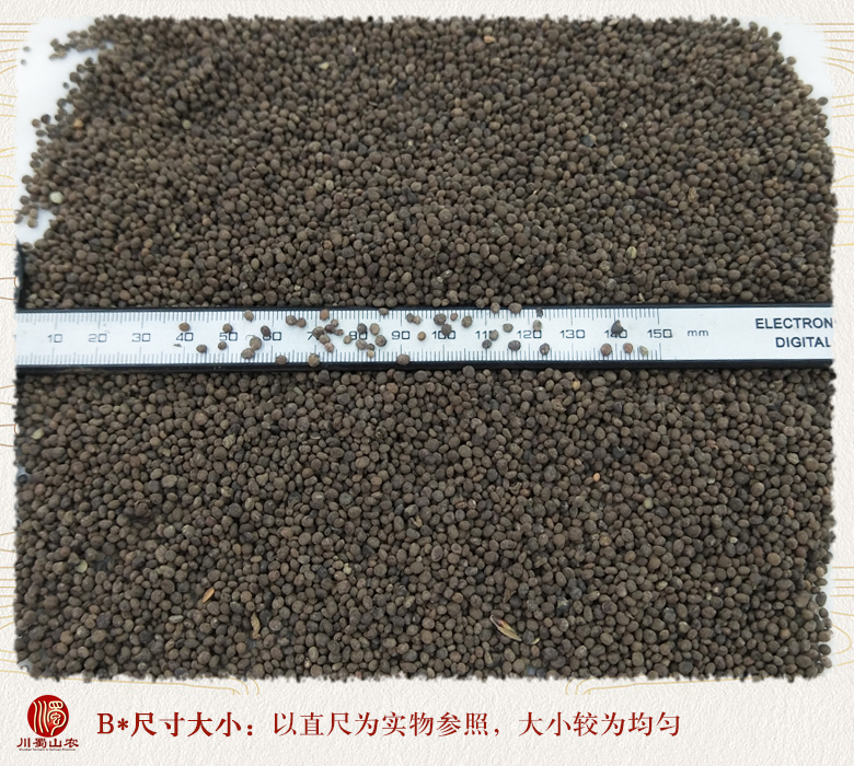 cstcssnjixingzixuanhuo09.jpg