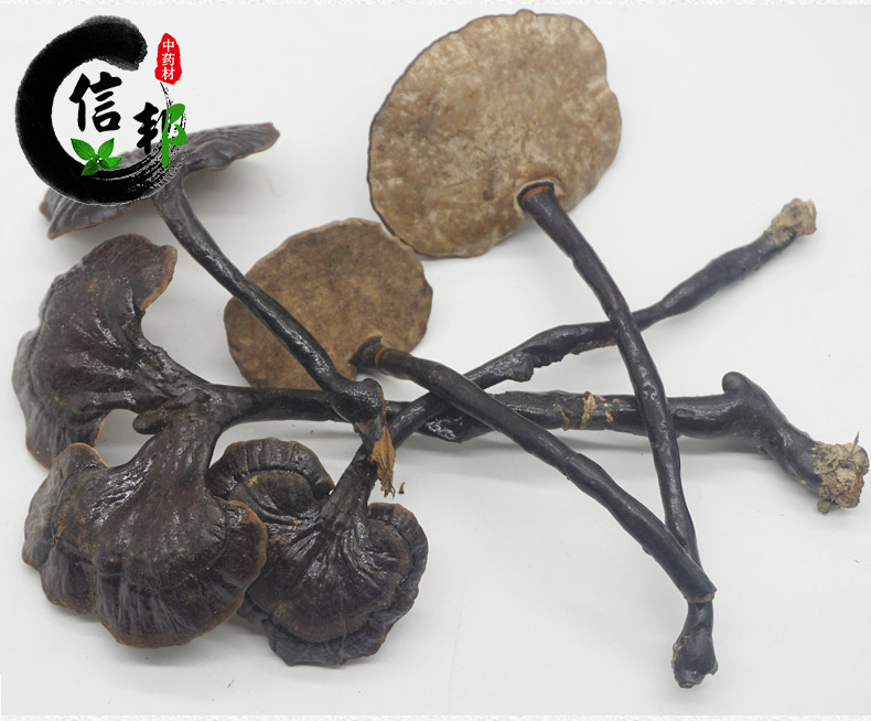 野生竹灵芝详情4.jpg