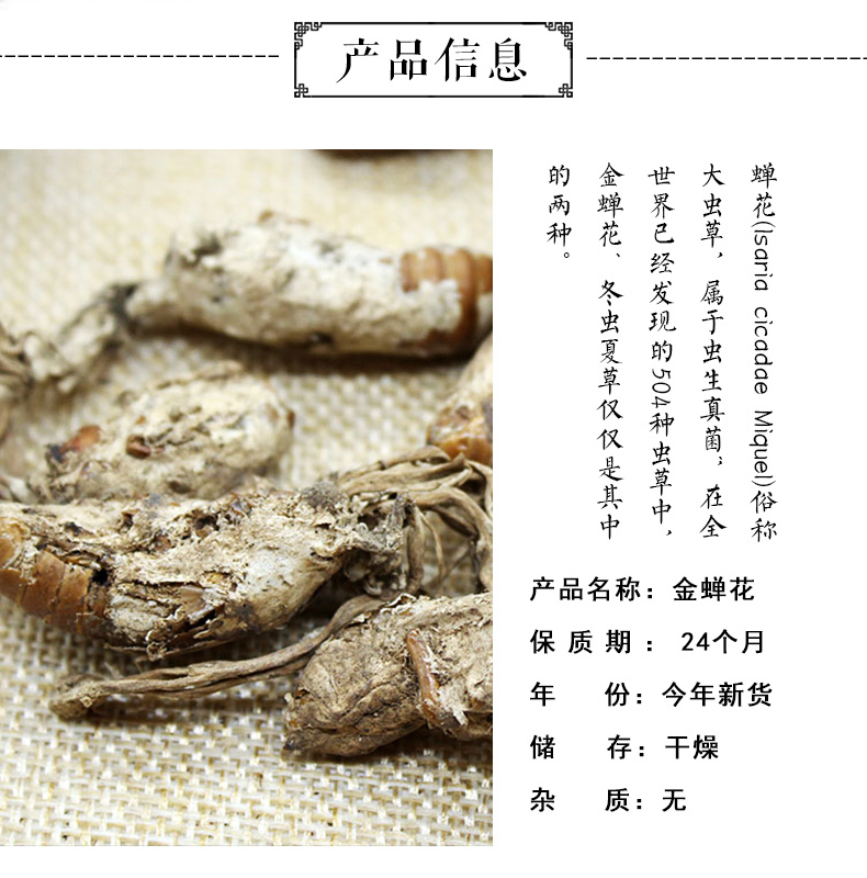 金蝉花1_02.jpg