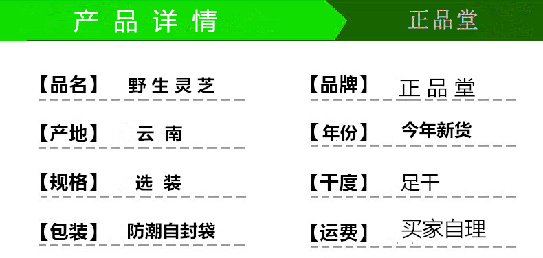 灵芝.jpg
