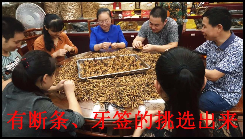 5151E59BBEE7898732303136313132323131343434322E6A7067.jpg