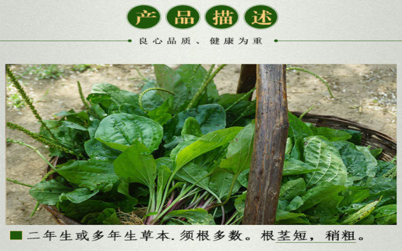 QQ截图20190914151717.png