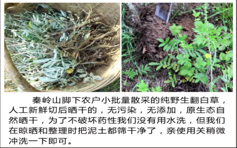 QQ截图20190916100547.png