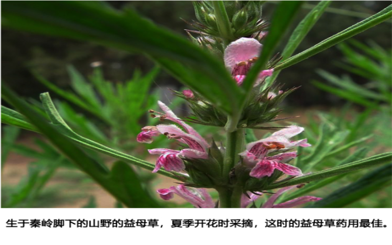 QQ截图20190914163543.png