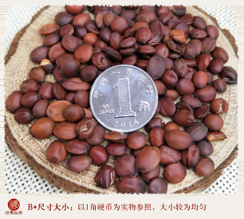 cstcssnsuanzaorenshengxuan09.jpg