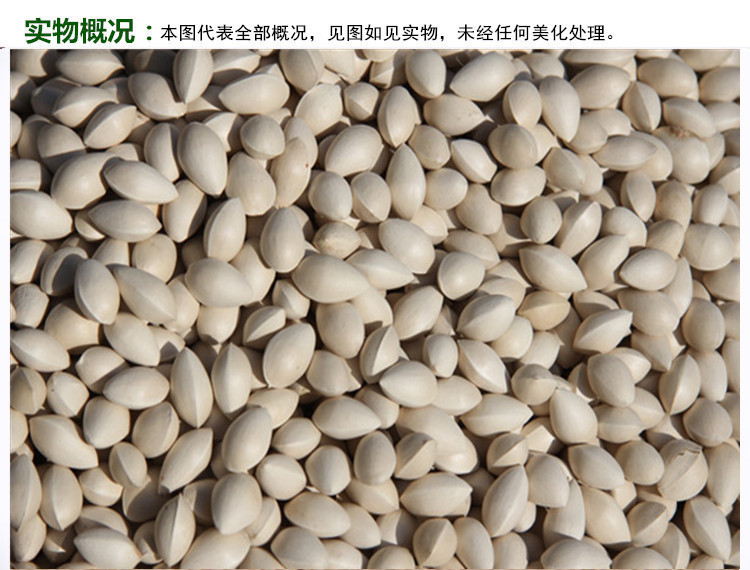 白果实物概况_副本.jpg