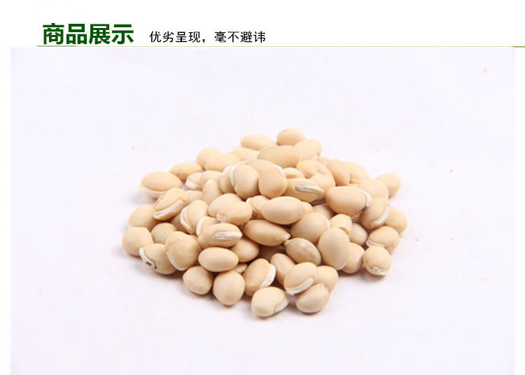 白扁豆 (2).jpg