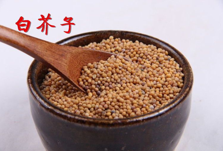 白芥子(4).jpg