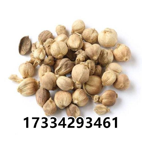 O1CN011SQsRbuwlLiZZRT_!!794462242.jpg