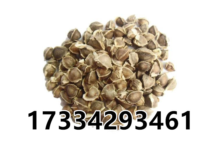 O1CN011SQsQiQmDuZzzUN_!!794462242.jpg