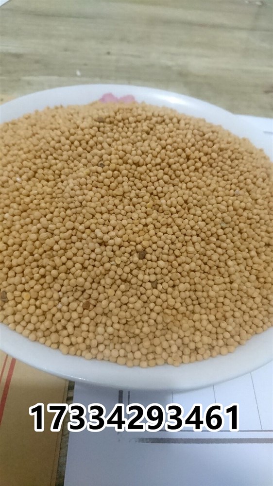 白芥子2.jpg
