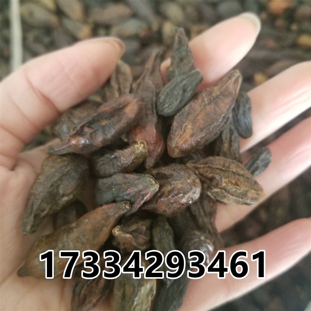20190310_111742.jpg