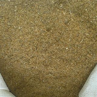 690458,320s.gif