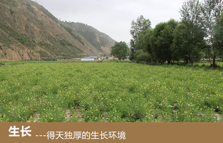 黄片7.jpg
