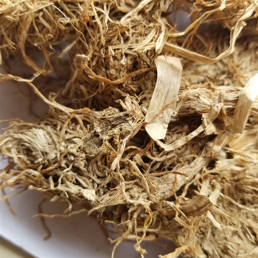 20190526_102140.jpg