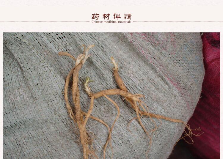 太子参2 (1).jpg