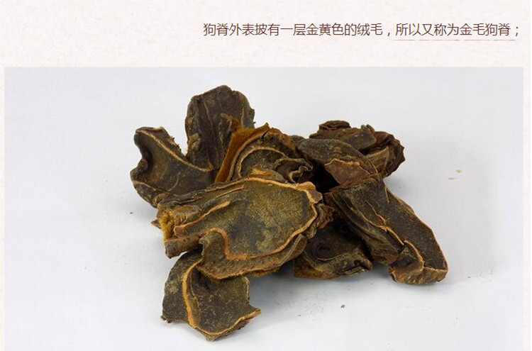 制狗脊3.jpg