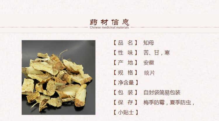知母1_副本.jpg