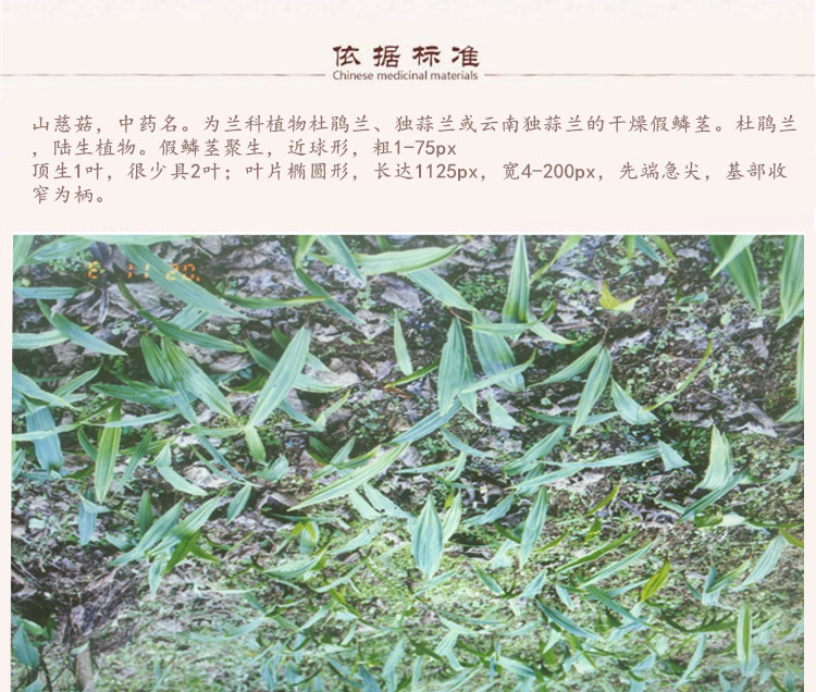 山慈菇5.jpg