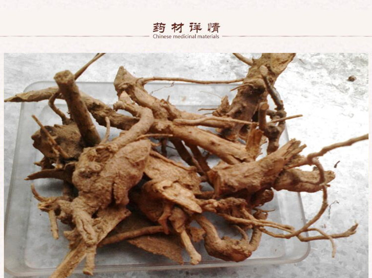 根栀子3.jpg