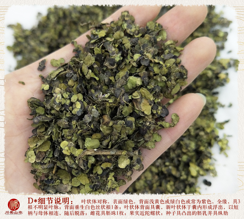 cstcssnfupingqinmgse011.jpg