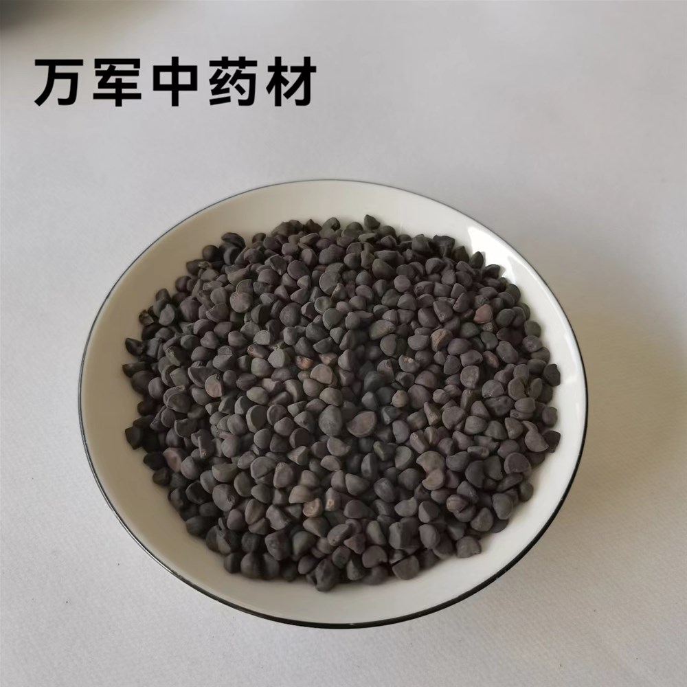 微信图片_20220617180916.jpg