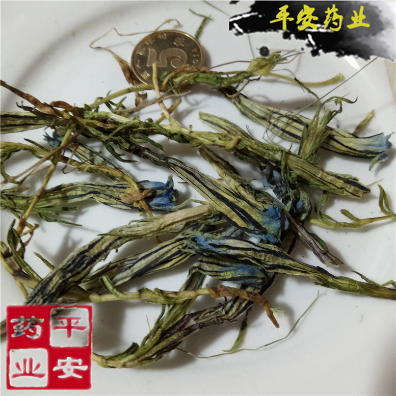 龙胆花虞美人65永_副本.jpg